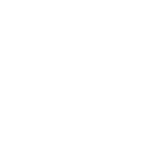 Cattery Solo Amore logo - britse korthaar cattery