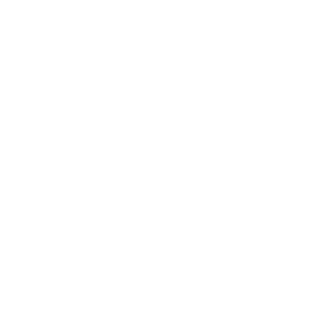 Cattery Solo Amore logo - britse korthaar cattery